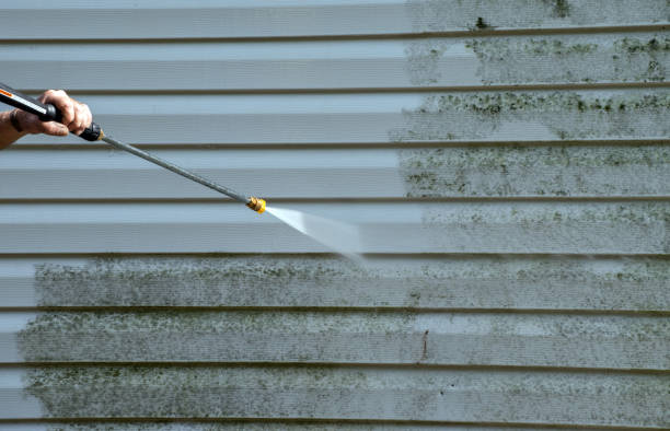 Best Roof Power Washing Services  in Meadowood, PA